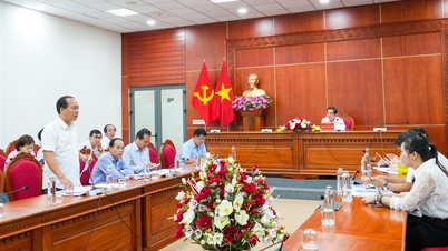 Обзор подготовительной работы к серии мероприятий «Hello Ca Mau» в Хошимине