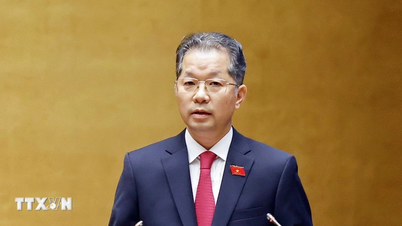 Yüksek Halk Mahkemesi'nin yeni Baş Yargıcı Nguyen Van Quang yemin ederek göreve başladı