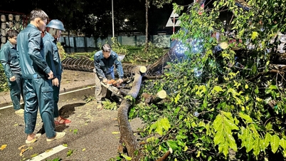 ফু গিয়াও তীব্র ঝড়ের কারণে সৃষ্ট ক্ষয়ক্ষতি জরুরিভাবে কাটিয়ে উঠেছেন