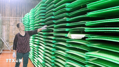 Ninh Binh: Impulsar el desarrollo de la artesanía tradicional de elaboración de papel de arroz de la aldea de Cheu.