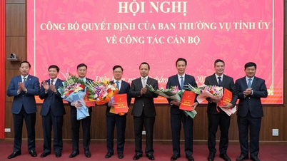 เดียนเบียนประกาศการตัดสินใจเกี่ยวกับการระดมและมอบหมายงาน