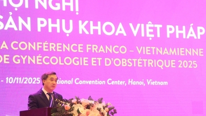 Vietnam'ın kadın doğum ve jinekoloji sektörü, yüksek riskli gebeliklerin taranması ve erken teşhisinde yapay zekanın uygulanmasını teşvik ediyor
