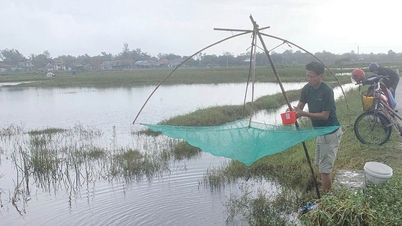 ເອົາຕາຫນ່າງອອກໃນຊ່ວງລະດູນໍ້າຖ້ວມ