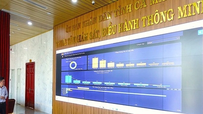 Ка Мау: Сприяння адміністративній реформі, пов'язаній з цифровою трансформацією