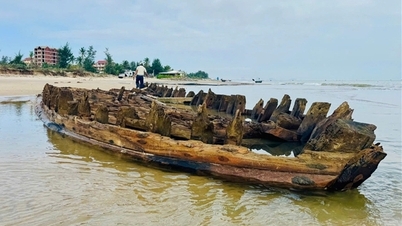 Vorschlag für die dringende Ausgrabung des antiken Schiffes von Hoi An