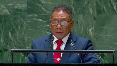 Minister spraw zagranicznych i handlu Wysp Salomona złoży oficjalną wizytę w Wietnamie