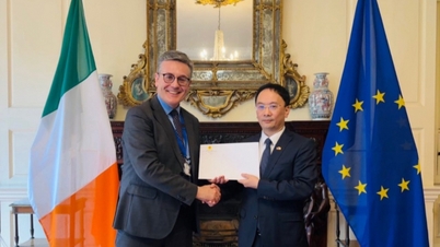 Pierwszy ambasador Wietnamu wręczył kopię swojego listu uwierzytelniającego szefowi Departamentu Protokołu Ministerstwa Spraw Zagranicznych i Handlu Irlandii