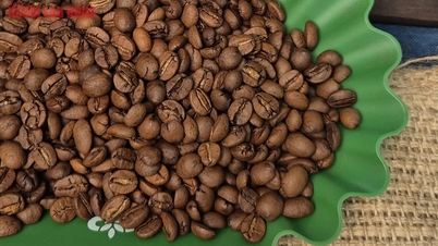 Flere gode nyheter for vietnamesisk kaffe