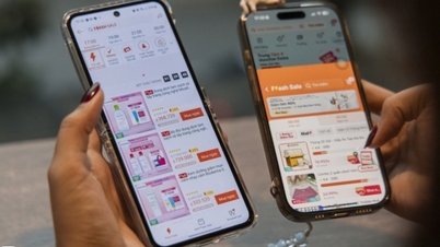 E-handelsplattformer satser alt 11. november