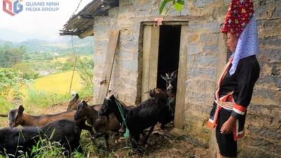 Nghị quyết 06 - Thu hẹp khoảng cách vùng miền