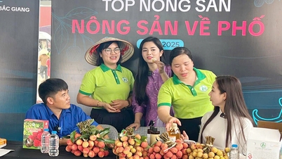 Bắc Ninh hưởng ứng tuần lễ Thương mại điện tử quốc gia và Ngày mua sắm trực tuyến Việt Nam - Online Friday 2025