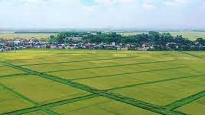 Ki mentesül az adó alól a mezőgazdasági földterület teljes területe után?