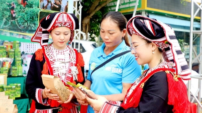 Tuyên Quang có 450 sản phẩm đạt chuẩn OCOP từ 3 sao trở lên