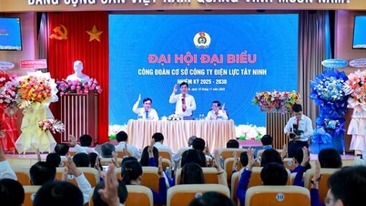 សមាជសហជីពនៃក្រុមហ៊ុនអគ្គិសនី Tay Ninh សម្រាប់អាណត្តិ 2025-2030