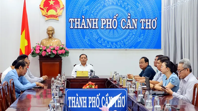 ពង្រឹងកិច្ចសហប្រតិបត្តិការអន្តរជាតិ ដើម្បីកសាង និងអភិវឌ្ឍន៍ឧស្សាហកម្មហាឡាលរបស់វៀតណាម
