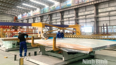 Ninh Binh implementeert resoluut Resolutie nr. 68-NQ/TW van het Politbureau