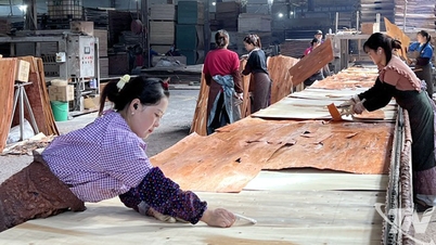 ថៃ ង្វៀន៖ ផលិតកម្មឧស្សាហកម្មរក្សាសន្ទុះកំណើន
