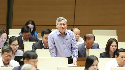 Cadangan untuk menyediakan sokongan kewangan untuk wanita dari semua peringkat umur untuk mempunyai dua orang anak