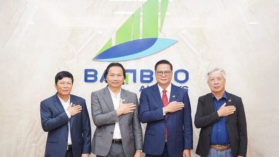Bamboo Airways ពង្រឹងក្រុមប្រឹក្សាភិបាល ត្រៀមខ្លួនសម្រាប់វដ្តកំណើនថ្មី។