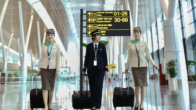 ចាប់ពីថ្ងៃទី 18 ខែសីហា ឆ្នាំ 2025 Bamboo Airways នឹងផ្ទេរការមកដល់ និងចេញក្នុងស្រុកទាំងអស់ទៅកាន់ស្ថានីយ T3 នៃ Tan Son Nhat ទីក្រុងហូជីមិញ។