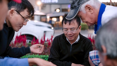 ชีวิตของชาวดานังหลังพายุ