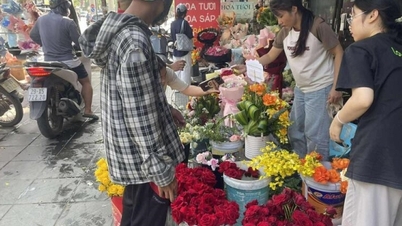 Mercado de regalos del 20 de noviembre: Variedad de opciones, muchos segmentos