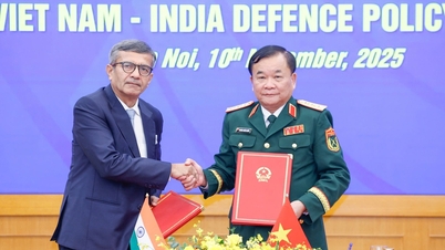 فيتنام والهند تعززان التعاون في مجال الصناعات الدفاعية