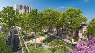 Tendencias ecológicas en las zonas urbanas de Vietnam