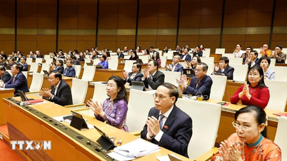 Затвердження низки заступників голови та членів Національної виборчої ради