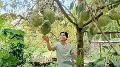 میکونگ ڈیلٹا کے کسان سبز زرعی ماڈل سے اختراع کرتے ہیں اور امیر ہوتے ہیں۔