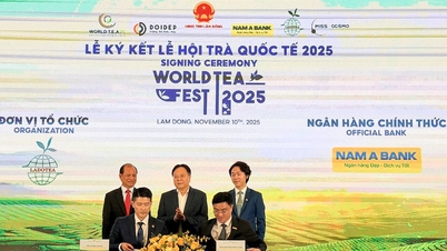 국제 차 축제 2025 – 람동에서 열리는 세계적인 행사