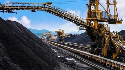 Menggabungkan 2 anak syarikat ke dalam syarikat induk - Vietnam National Coal - Mineral Industries Group
