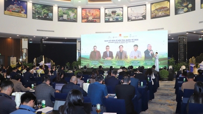 Lần đầu tổ chức Lễ hội trà quốc tế tại Đà Lạt