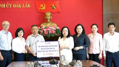 Grupul de electricitate din Vietnam sprijină provincia Dak Lak cu 1 miliard de VND pentru a depăși...