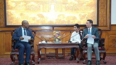 رئیس کمیته مردمی شهر، فان تین دین، هیئت رهبری ارشد WWF را به حضور پذیرفت و با آنها همکاری کرد.