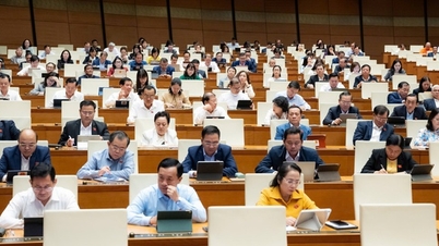 De Wet op de ziektepreventie moet worden gezien als de 'Grondwet voor de gezondheid'