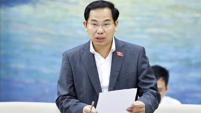 Anunțarea paginii informative privind alegerile pentru a 16-a Adunare Națională și Consiliile Populare la toate nivelurile pentru mandatul 2026-2031