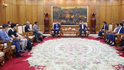 Голова Народного комітету провінції Бакнінь Вуонг Куок Туан прийняв та провів зустріч з керівниками групи Qorvo.