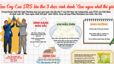Ong Cua ST25 pirincinin cazibesi - 2025'te "Dünyanın en iyi pirinci"