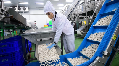 Επίσημη αύξηση του περιφερειακού κατώτατου μισθού από την 1η Ιανουαρίου 2026