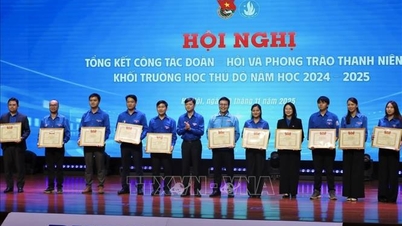 Fremme ungdommens banebrytende og kreative rolle i skolene i hovedstaden