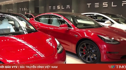 Tesla stopniowo traci swoją pozycję na rynku europejskim.