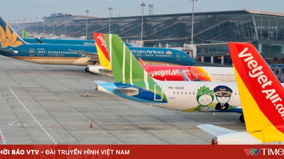 Standardization and international integration in the field of aviation safety