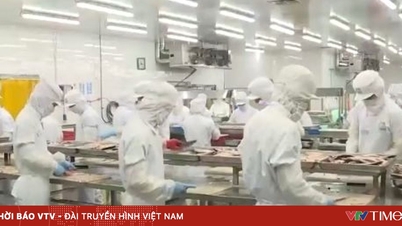 Memastikan bekalan dan menstabilkan pasaran komoditi semasa musim hujan dan ribut dan pada akhir tahun