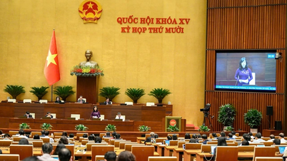 Luật Dân số: Chuyển từ ‘dân số và chính sách kế hoạch hóa gia đình’ sang ‘dân số và phát triển’