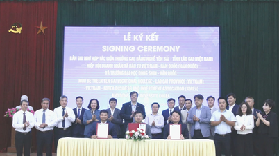 Vietnam-Korea Business and Investment Association fremmer opplærings- og investeringssamarbeid i Lao Cai