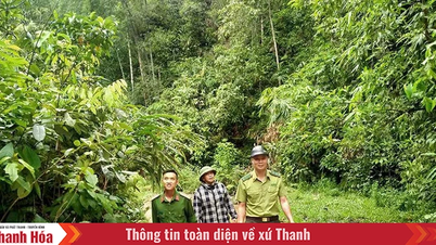 នាយកដ្ឋាន​ការពារ​ព្រៃឈើ ឡាង ចាន់ ផ្សព្វផ្សាយ​ដើម្បី​បង្កើន​ប្រសិទ្ធភាព​ការពារ​ព្រៃឈើ