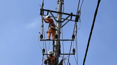 লাও কাই ইলেকট্রিসিটি কোম্পানি: নেটওয়ার্ক নিরাপত্তা এবং সুরক্ষা জোরদার করা - ব্যাপক ডিজিটাল রূপান্তর প্রচার করা