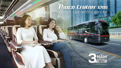 សម្ពោធ​រថយន្ត THACO Cruizer 120S ជំនាន់​ថ្មី កៅអី 29