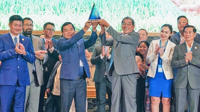 אורז Ong Cua ST25 זכה בפרס "האורז הטוב בעולם" בפעם השלישית.